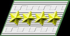 Generale (Solo il Capo di SMD)